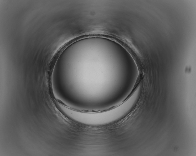 X0000090761356200708031621