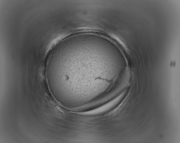 X0000090761357200708031621