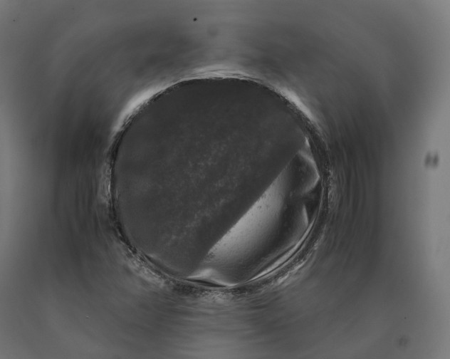 X0000090761358200708031621