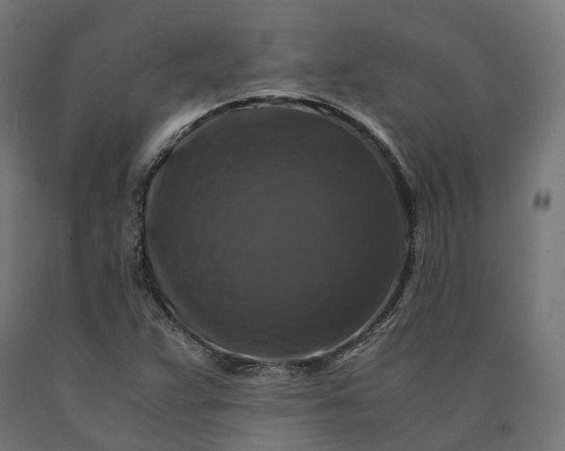 X0000090761359200708031621