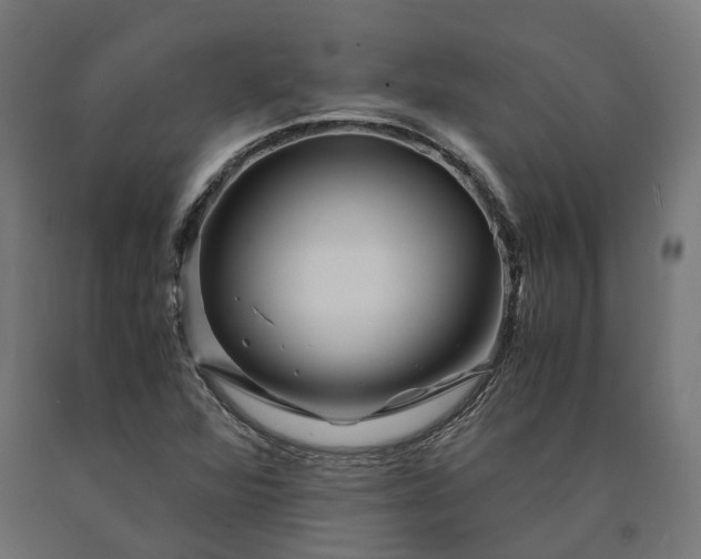 X0000090761360200708031621