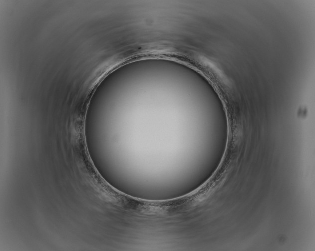 X0000090761361200708031621