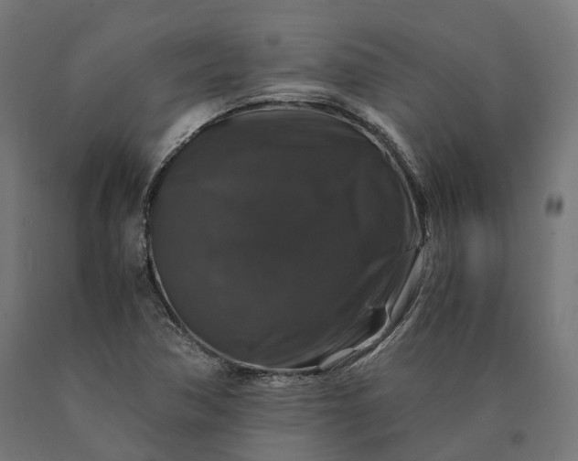 X0000090761362200708031621