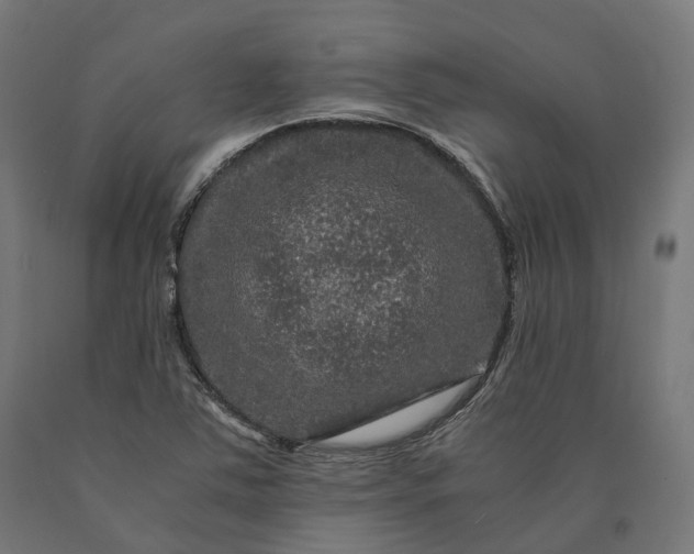 X0000090761363200708031621