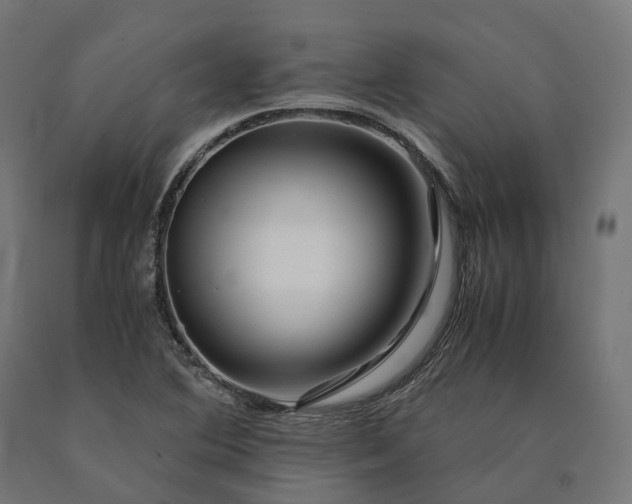 X0000090761364200708031621