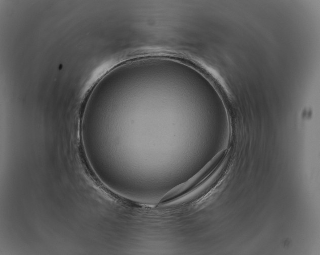 X0000090761365200708031621