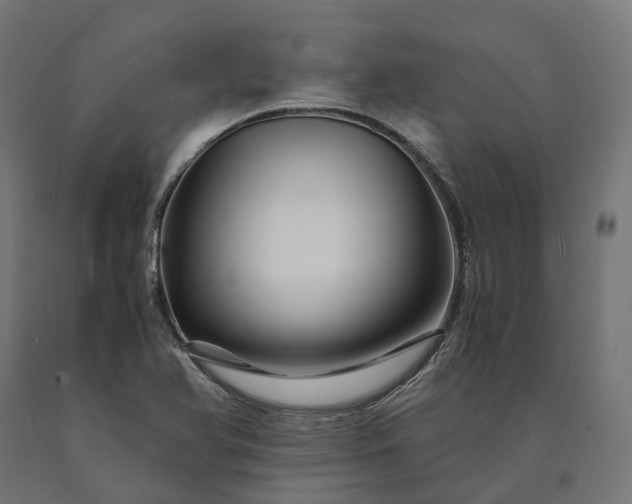 X0000090761366200708031621