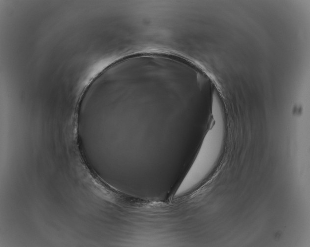 X0000090761367200708031621