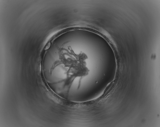 X0000090761368200708031621