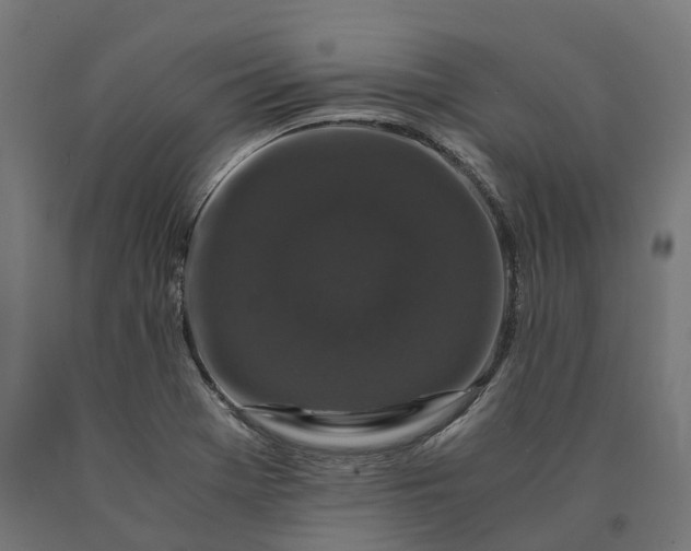 X0000090761369200708031621