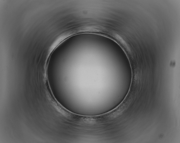 X0000090761370200708031621