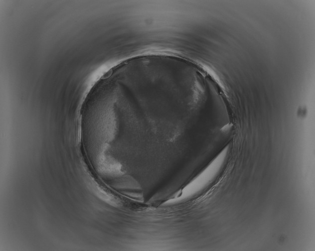 X0000090761371200708031621