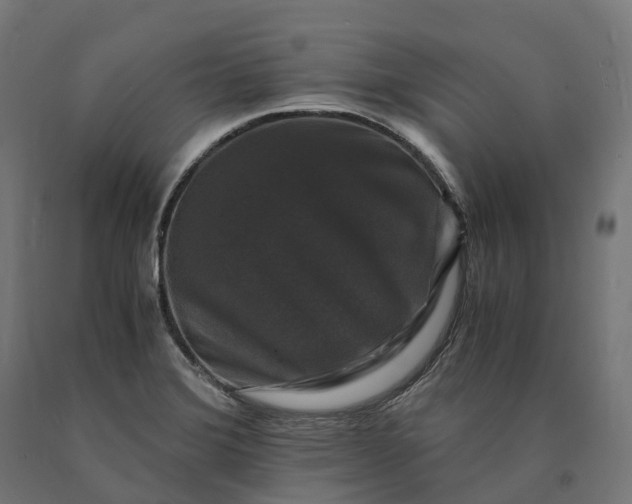 X0000090761372200708031621