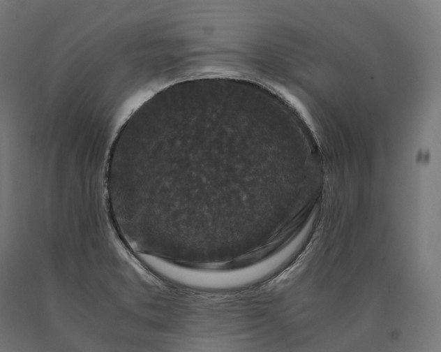 X0000090761373200708031621