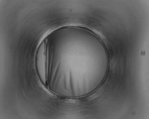 X0000090761374200708031621