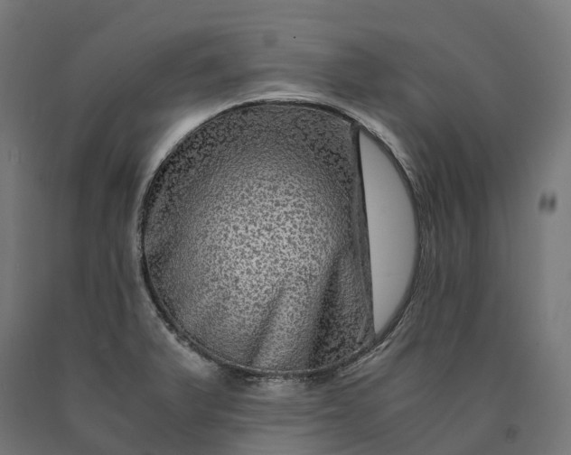 X0000090761375200708031621