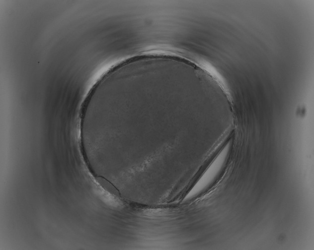 X0000090761376200708031620