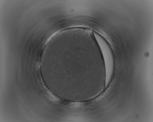 X0000090761377200708031620