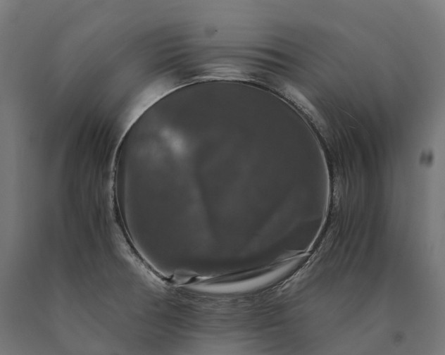 X0000090761378200708031620