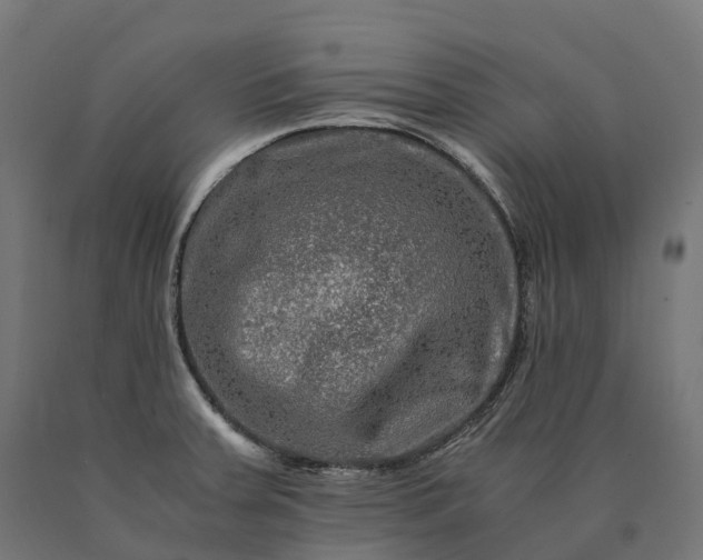 X0000090761379200708031620