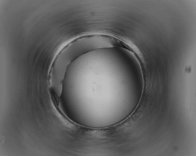 X0000090761380200708031620