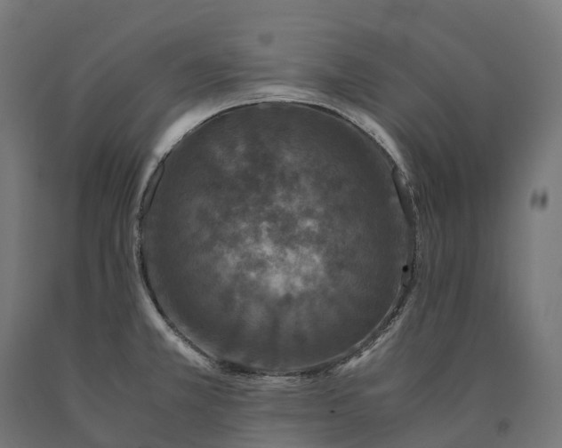 X0000090761381200708031620