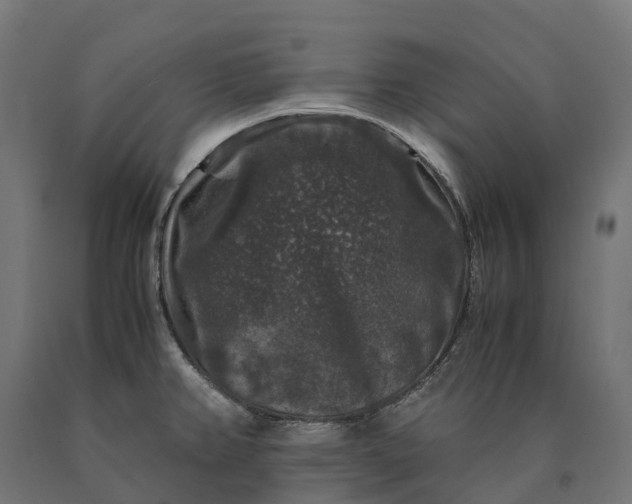 X0000090761382200708031620