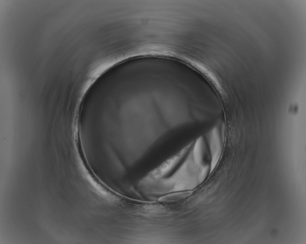 X0000090761383200708031620