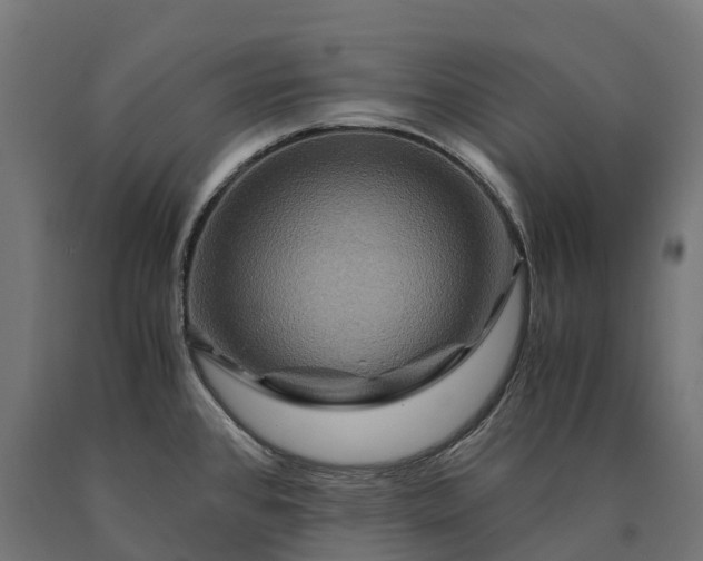 X0000090761384200708031620