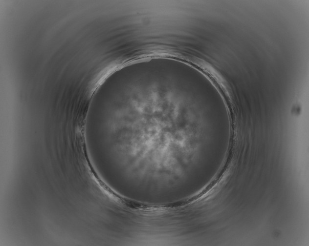 X0000090761385200708031620