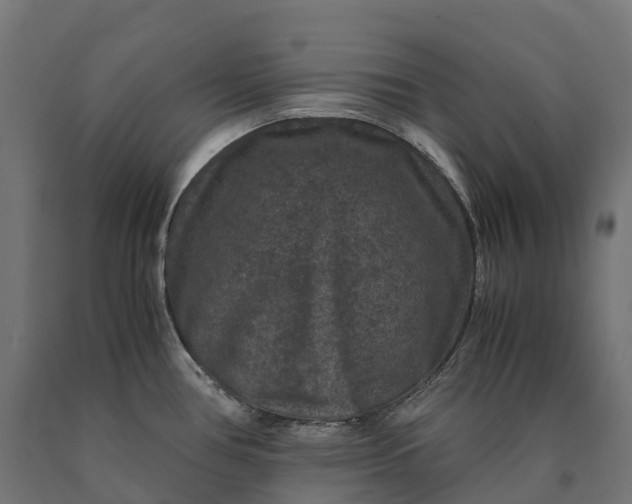 X0000090761386200708031620