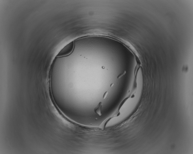 X0000090761387200708031620