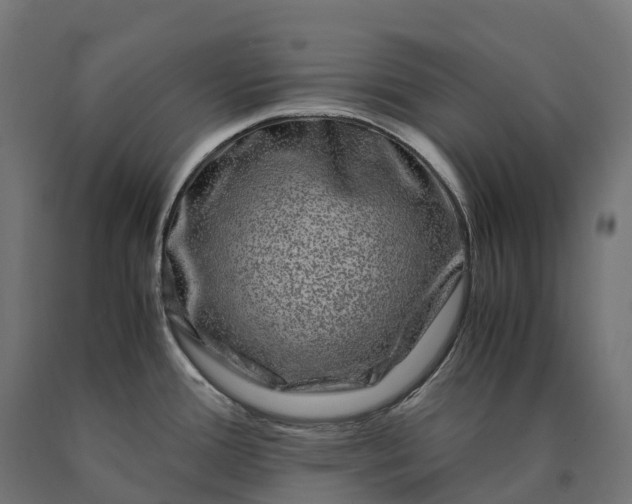 X0000090761388200708031620