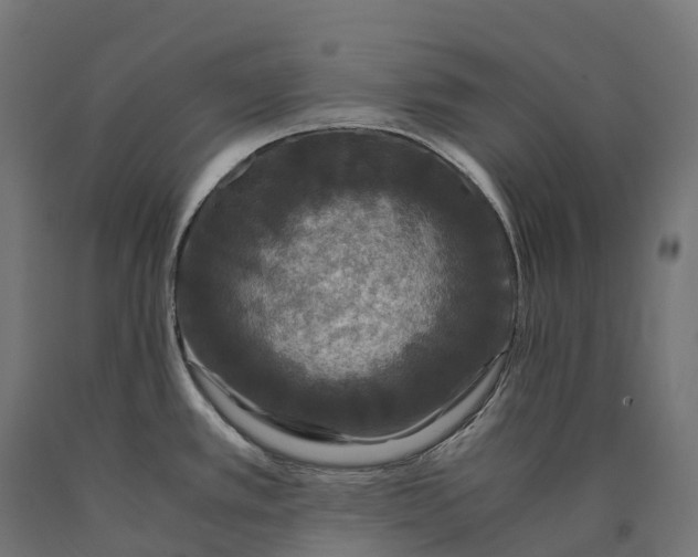 X0000090761389200708031620