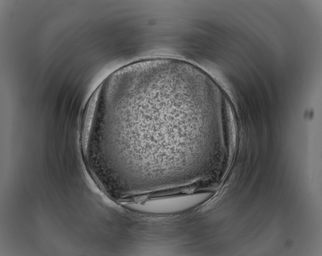 X0000090761390200708031620