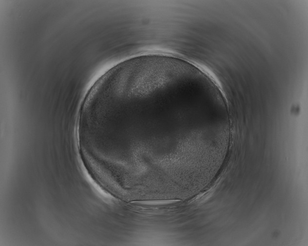 X0000090761391200708031620