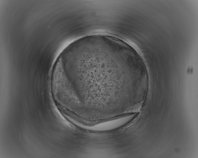 X0000090761392200708031620