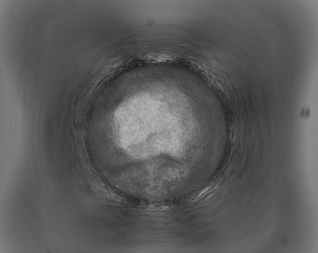 X0000090761393200708031619