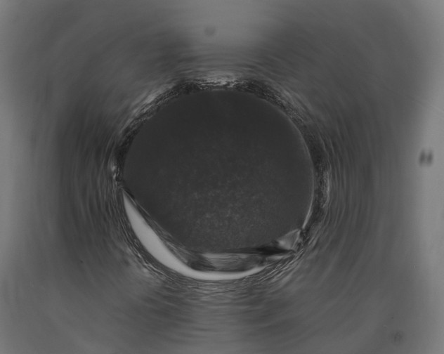 X0000090761394200708031619