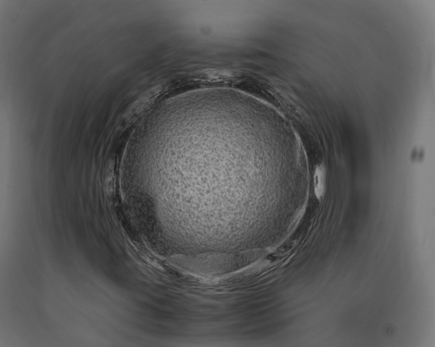 X0000090761395200708031619