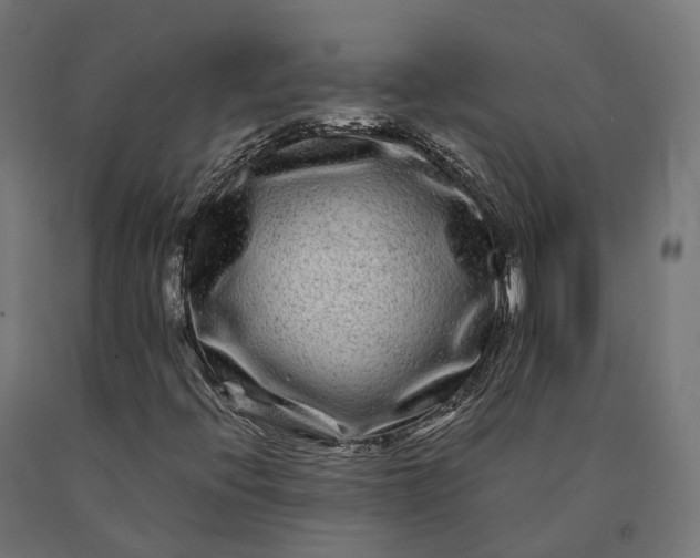 X0000090761396200708031619