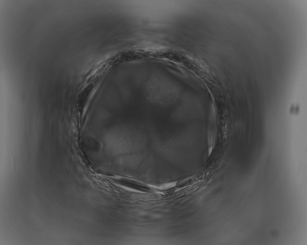 X0000090761397200708031619