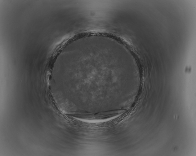 X0000090761398200708031620