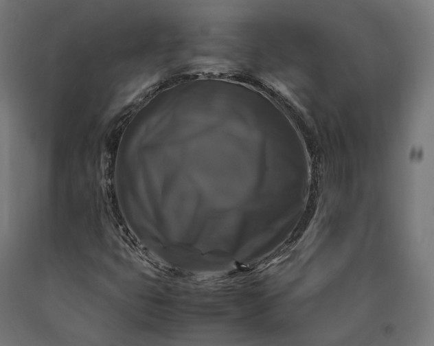 X0000090761399200708031620