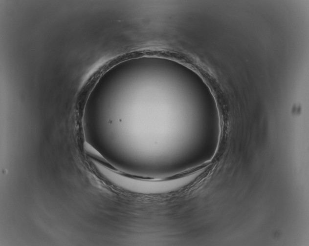 X0000090761400200708031620