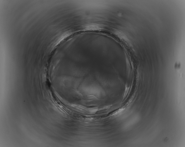 X0000090761401200708031620