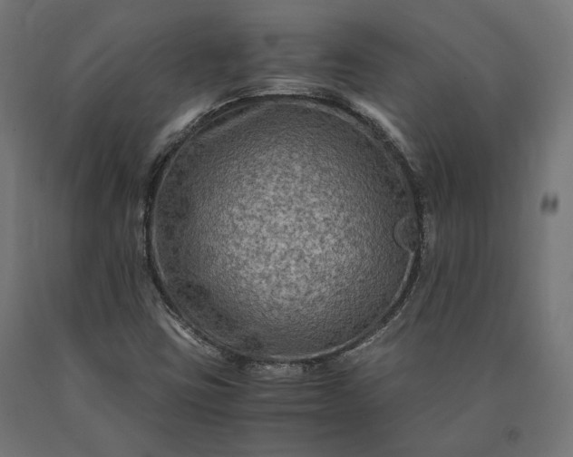 X0000090761403200708031620