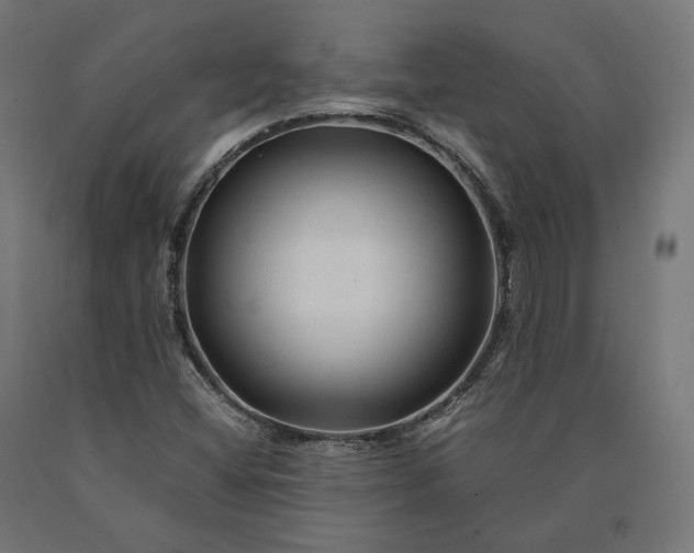 X0000090761404200708031620