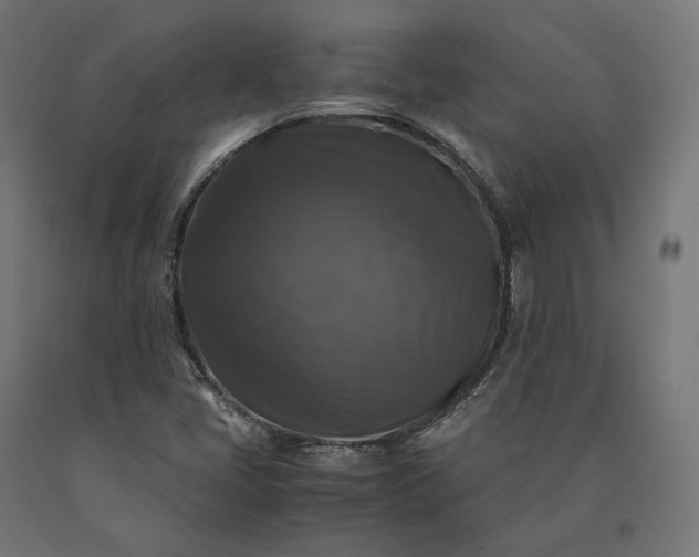 X0000090761405200708031620