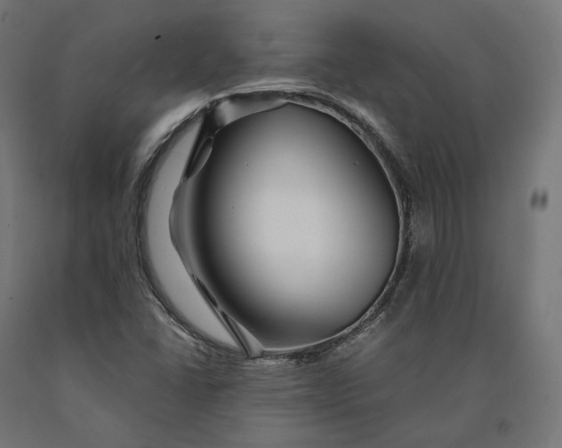 X0000090761406200708031620